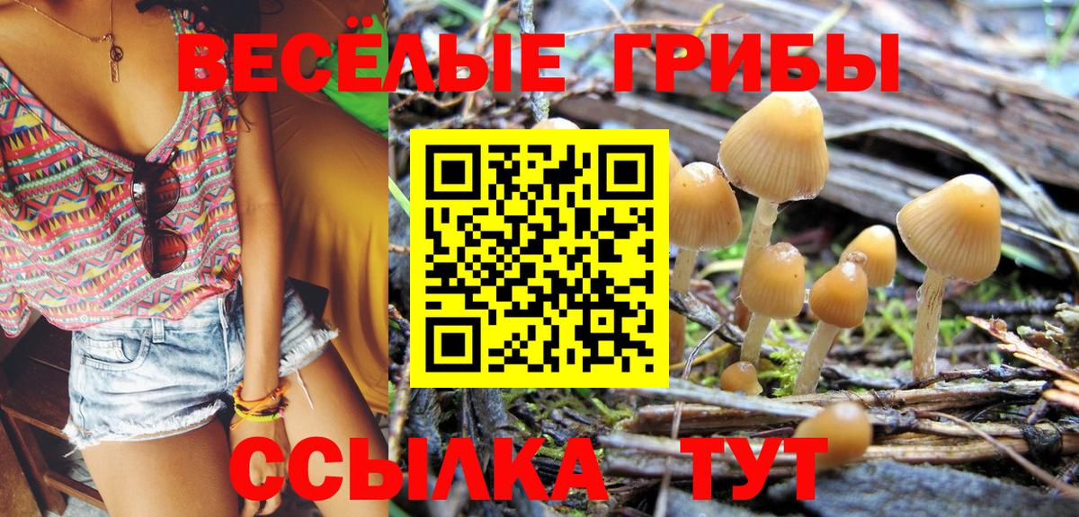 Избербаш  Псилоцибиновые грибы GOLDEN TEACHER  Вход с VPN 